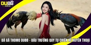 Đá Gà Thomo