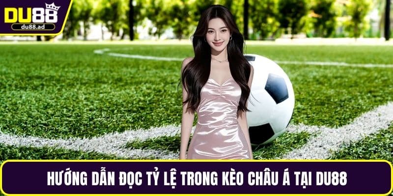 Hướng dẫn đọc tỷ lệ trong kèo Châu Á tại DU88